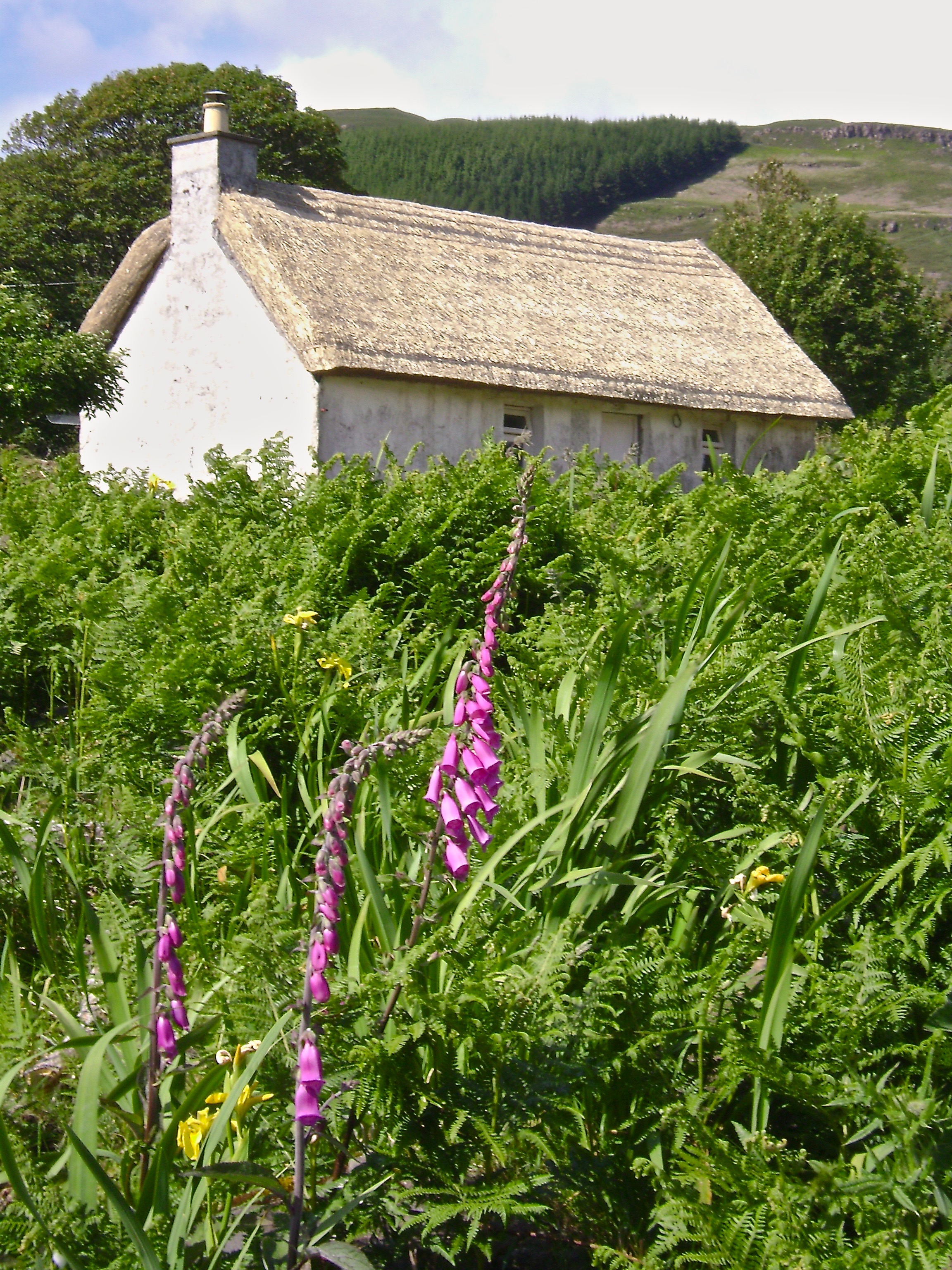 Thatched property