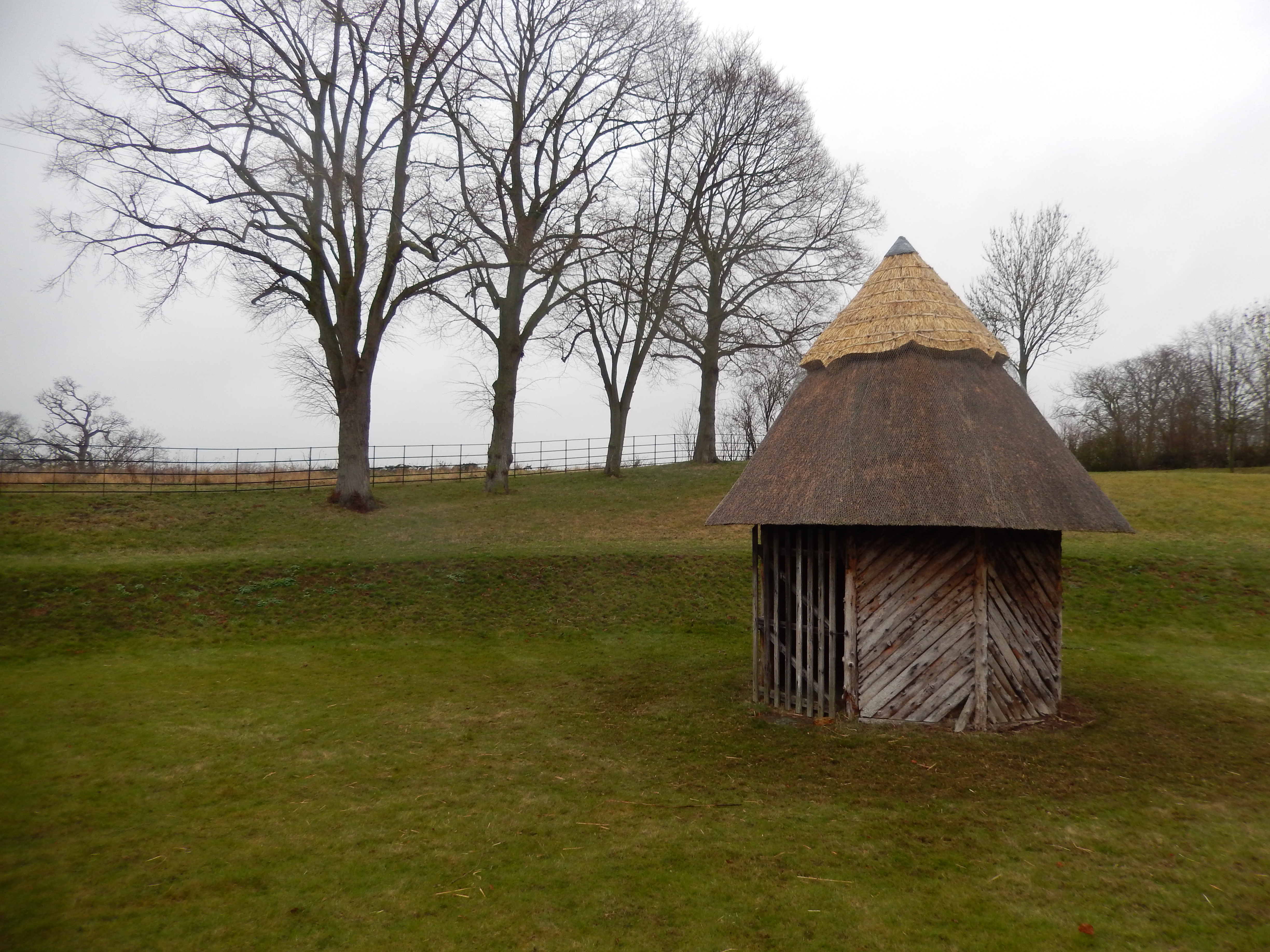 Thatched ridge